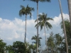 Koh Ngai